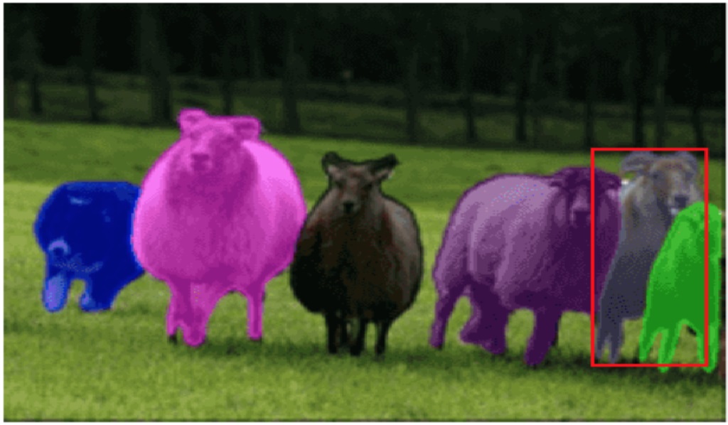 Instance segmentation process